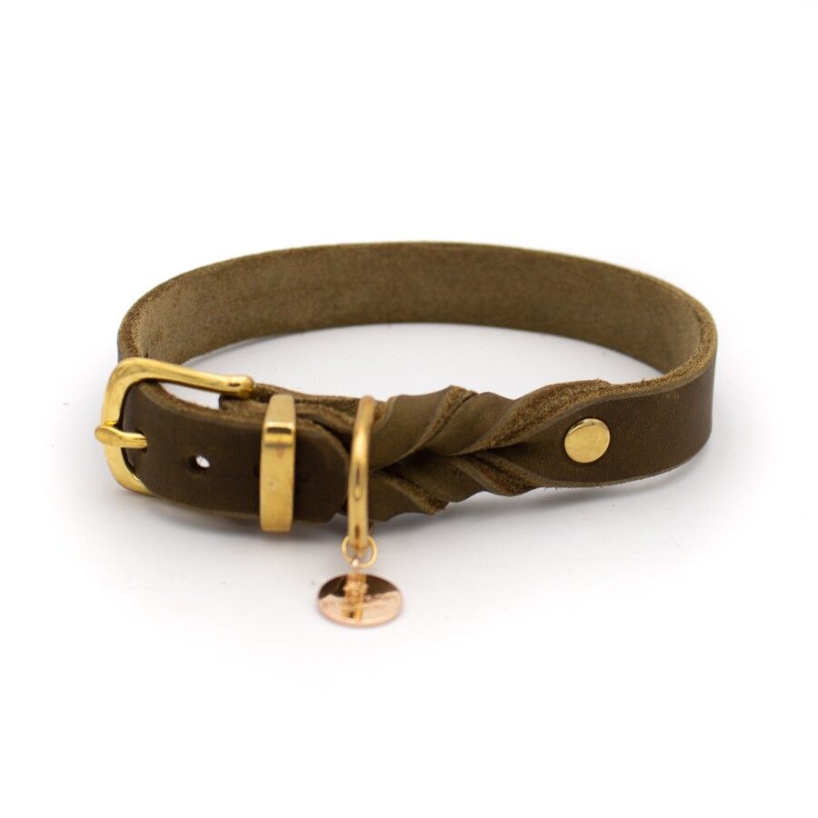 Dog collar with clearance olives