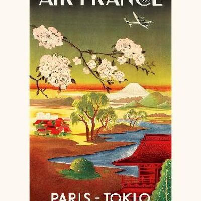 Air France / PARIGI TOKIO A359 - 40x50