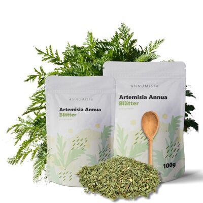 Hojas de Artemisia Annua 100g