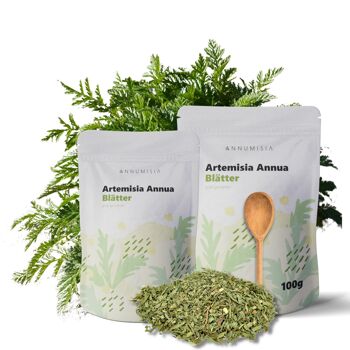 Feuilles d'Artemisia Annua 100g