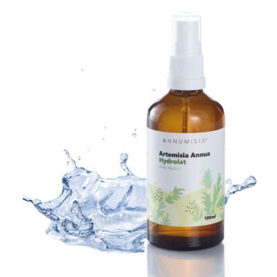 Artemisia Annua Hydrolat 100ml sin alcohol