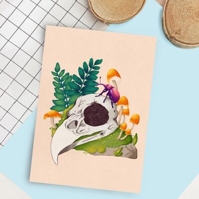 Bird skull -  Art Print