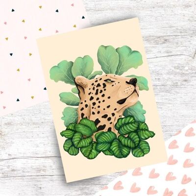 Leopard -  Art Print