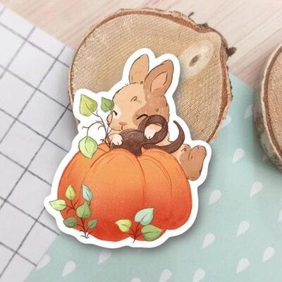 Pumpkin bunny vinyl sticker