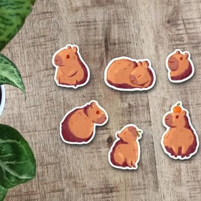 Capybara sticker pack