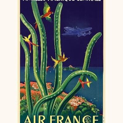 Air France / Antilles - Centroamérica A031 - 40x50