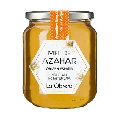 Miel de Naranja Española - Tarro cristal 500g