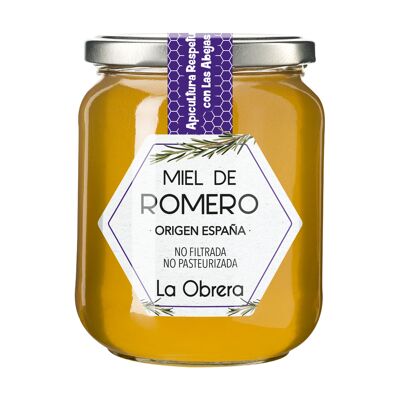 Miel de Romero Española - Tarro cristal 500g