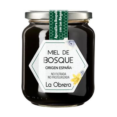 Miel de forêt espagnole - Pot en verre 500g