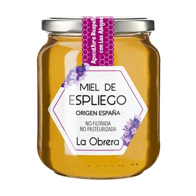 Miele di Lavanda Spagnolo - Vaso vetro 500g