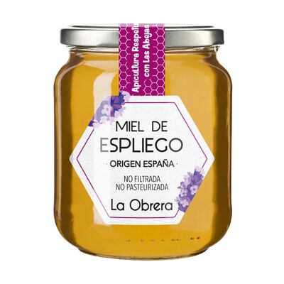 Miel de Lavande d'Espagne - Pot en verre 500g