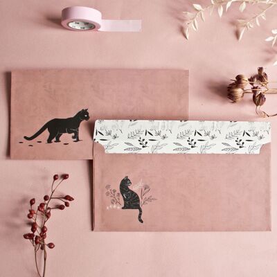 Envelopes Set | cats