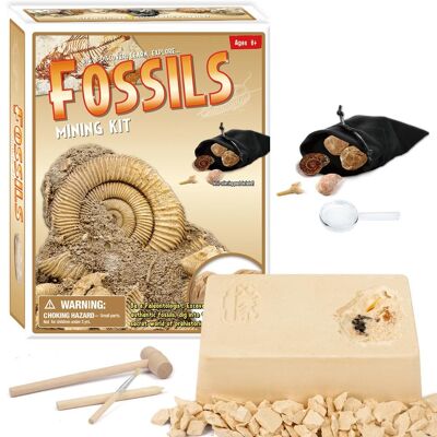 Fossilien-Bergbau-Kit