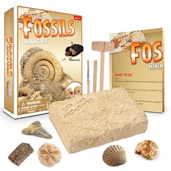 Kit d'extraction de fossiles 5