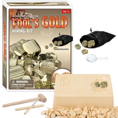 Kit de minería de oro de los tontos