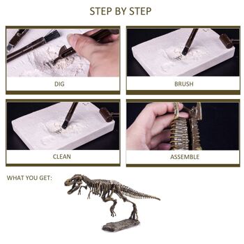 Kit d'excavation de dinosaures Dig it Out - Stegosauros 3
