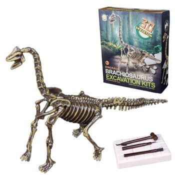 Kit d'excavation de dinosaures Dig it Out - Brachiosaurus 1