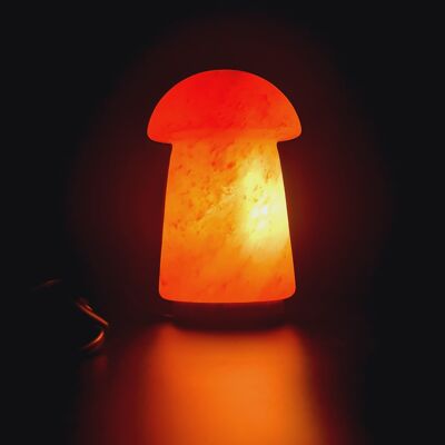 Himalayan Salt Crystal Lamps (Angel, Cross, Mushroom, Heart Lamp ) - Mushroom