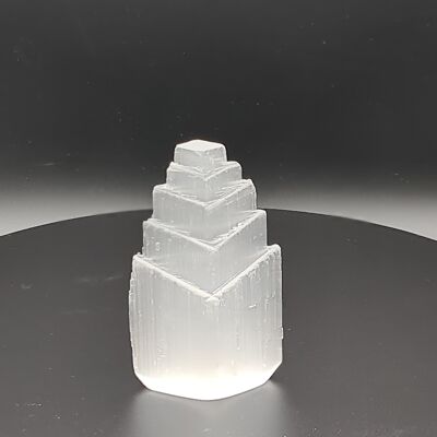 Selenite display crystal - Fishtail - 20 cm