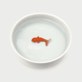 Bol pour chat poisson rouge 10