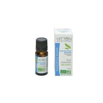 Aceite esencial de eucalipto radiata ecológico 10 ml