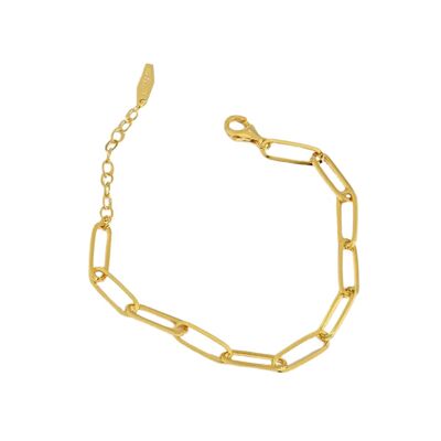Link Chain Bracelet Zia