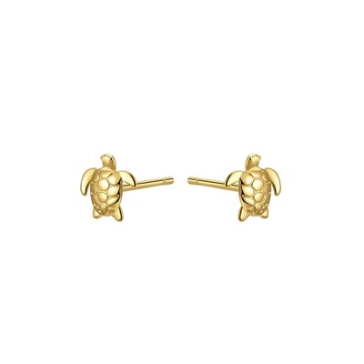 Gold Turtle Studs