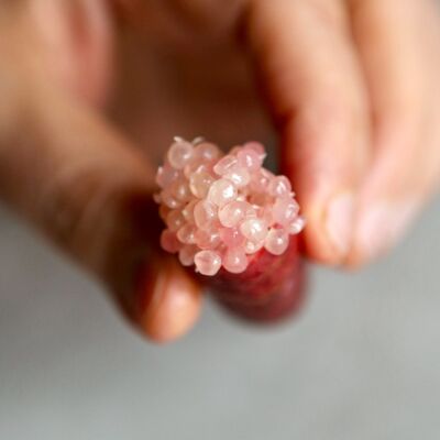 Fresh pink lemon caviar - 60g / Tray