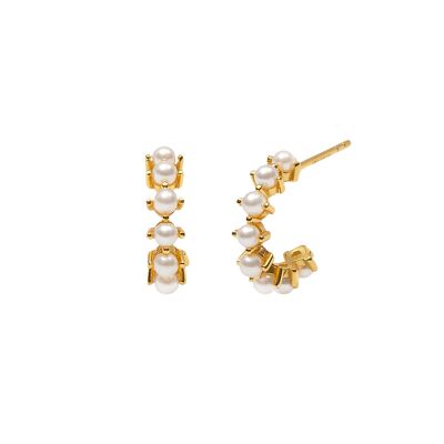 CLARISE GOLD HOOPS