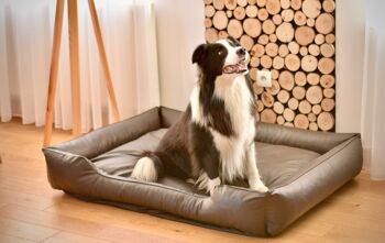 Lit pour chien orthopédique marron 135x105 Bobby XXL 2