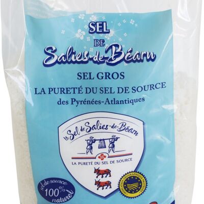 SEL DE SALIES DE BEARN