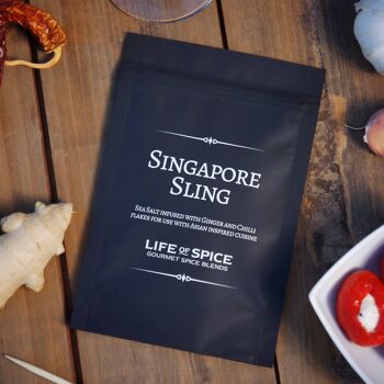 Élingue de Singapour 2