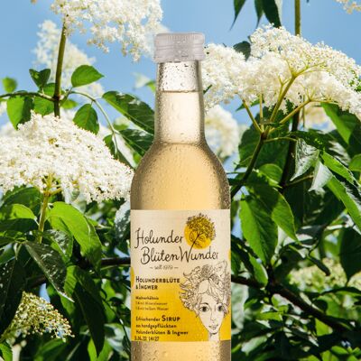 Sirop de fleur de sureau et gingembre 250ml