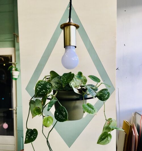 Lamp plantenhanger