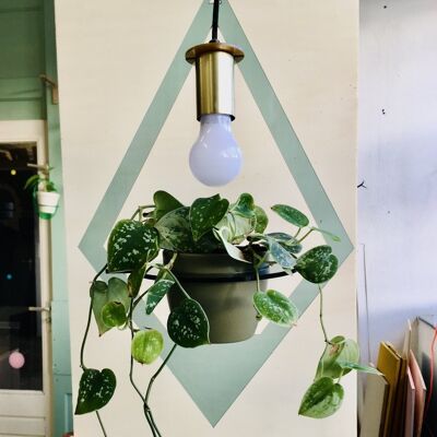 Lamp plantenhanger