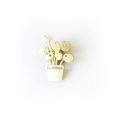 Golden pin Pilea