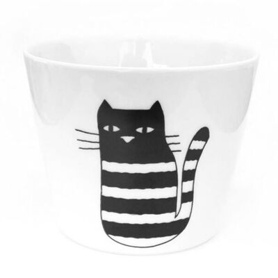 gato maceta