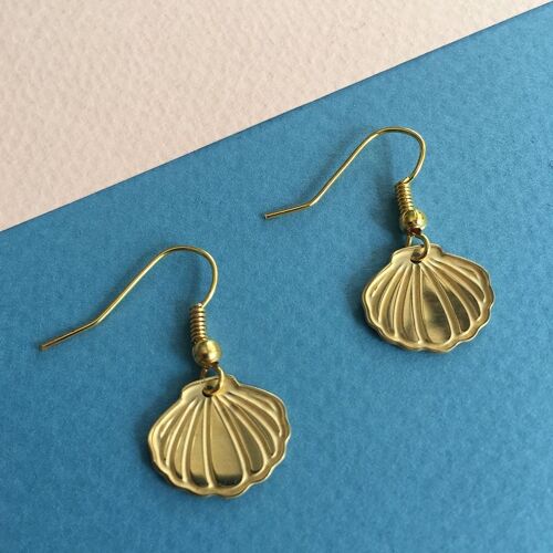 Shell earrings