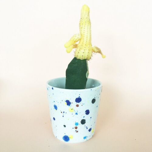 Flowerpot S Confetti