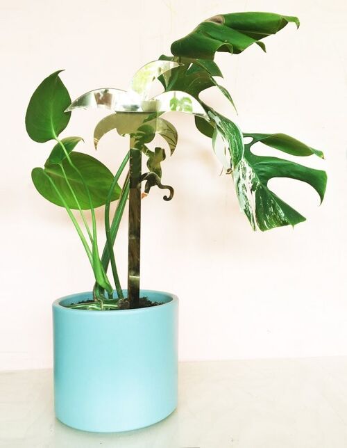 Plantstand L Palm
