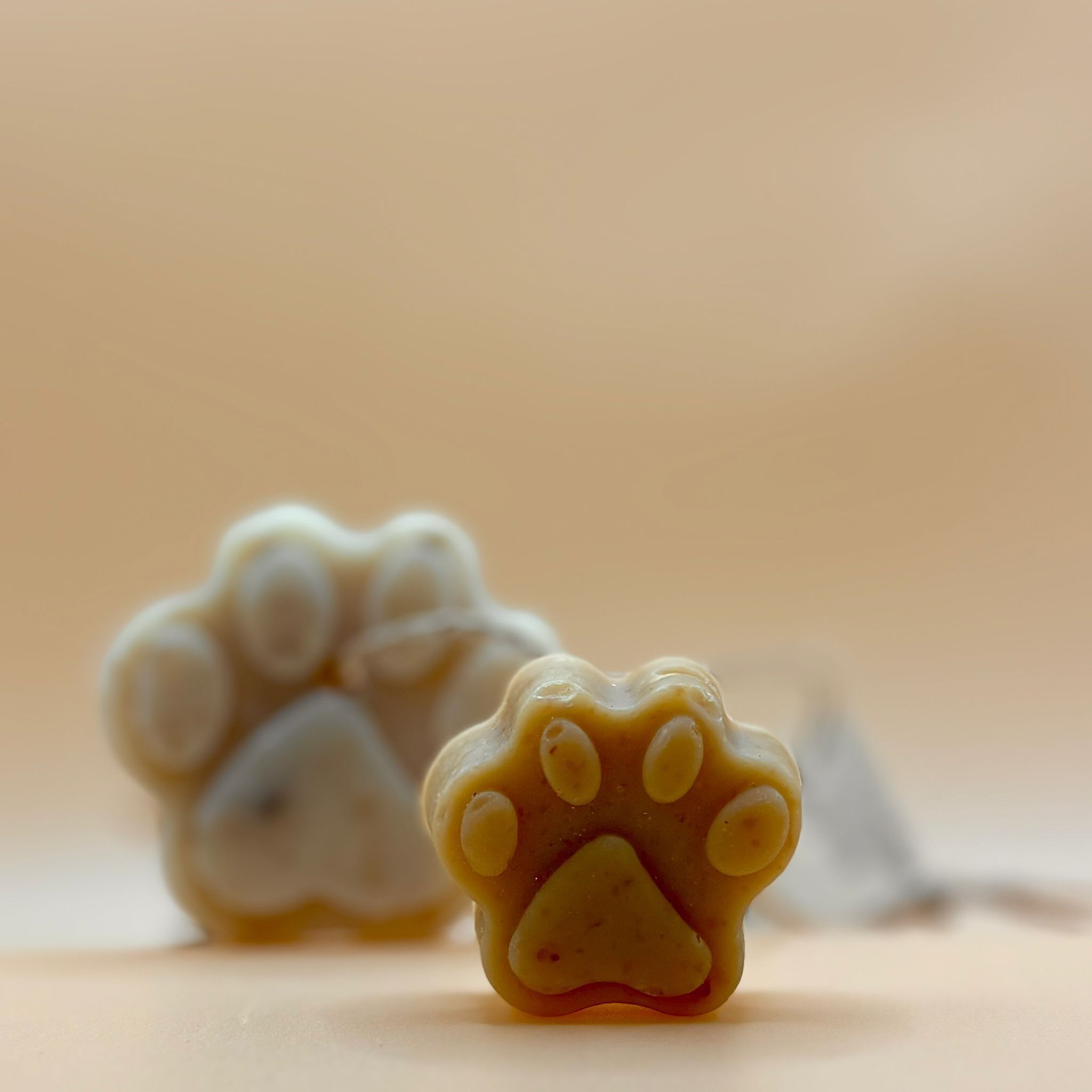 CANACCIU savon pour chien (25g)