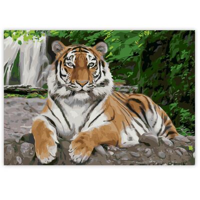 Paint By Numbers on A3 Canvas - Tiger | 24-Colour Gift Set by Zieler | 09299433