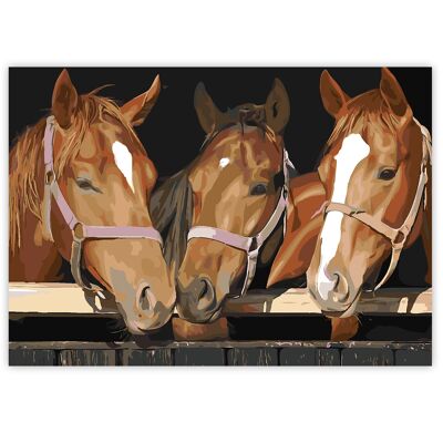 Paint By Numbers on A3 Canvas - Horses | 24-Colour Gift Set by Zieler | 09299436