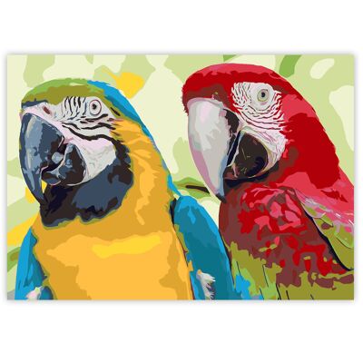 Paint By Numbers on A3 Canvas - Parrots | 24-Colour Gift Set by Zieler | 09299438
