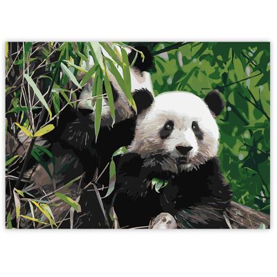 Paint By Numbers on A3 Canvas - Pandas | 24-Colour Gift Set by Zieler | 09299439