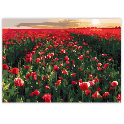 Paint By Numbers on A3 Canvas - Poppy Field | 24-Colour Gift Set by Zieler | 09299441