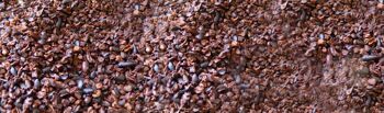 Éclats de cacao | brut | BIO | 1 kg 5