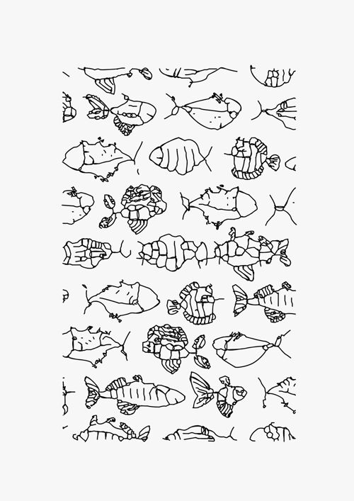 Unseen nature – fish poster