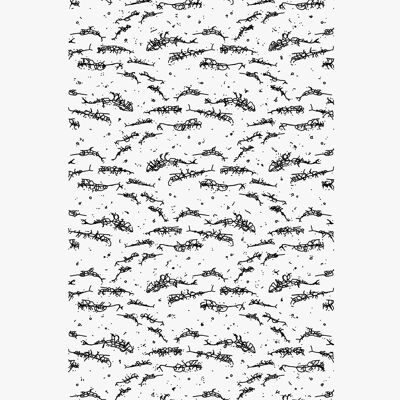 Unseen nature – whales poster