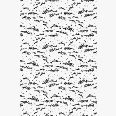 Unseen nature – whales poster